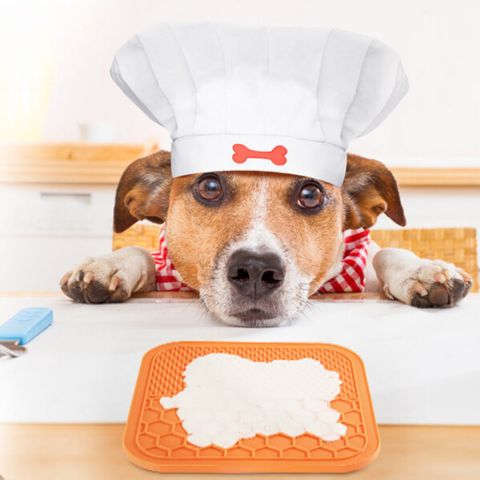tapis-de-léchage-chien