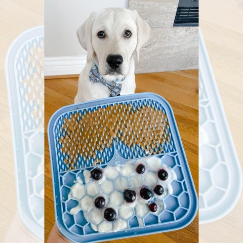tapis-de-léchage-chien-1