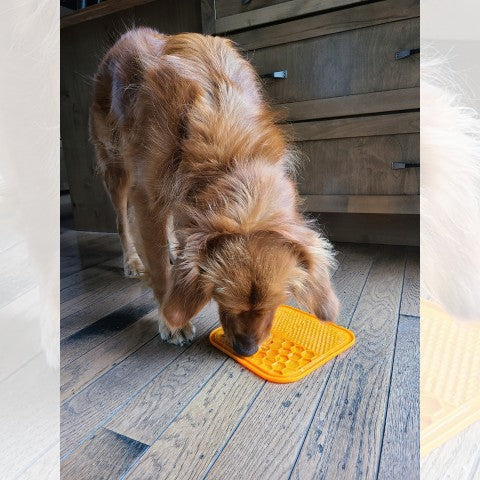 tapis-de-léchage-chien-2