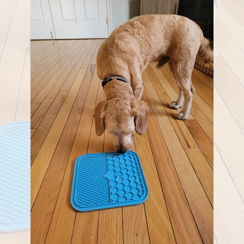 tapis-de-léchage-chien-3