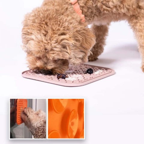 tapis-de-léchage-chien