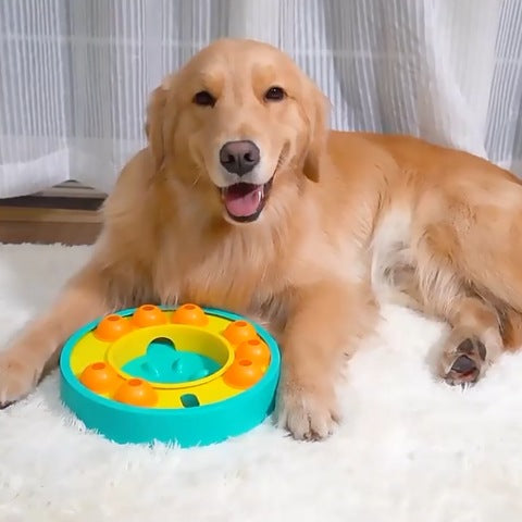 distributeur croquette chien