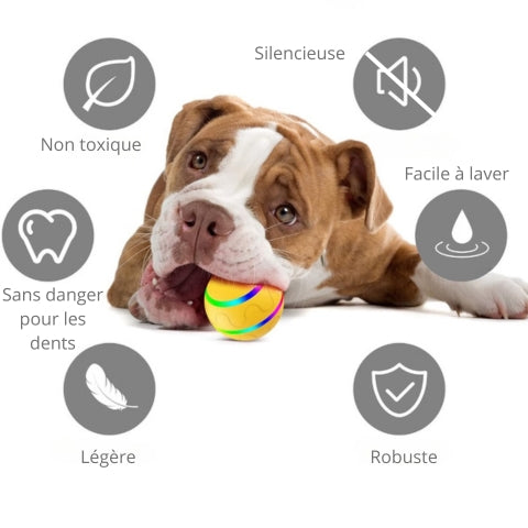 balle-pour-chien-bienfaits