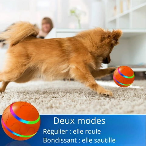 balle-pour-chien-modes