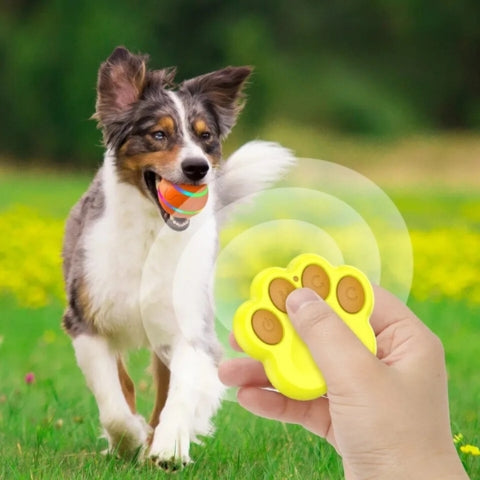 balle-pour-chien-telecommande