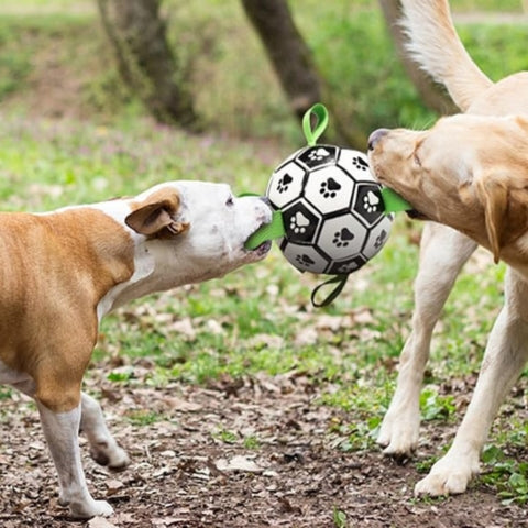 BALLON POUR CHIEN | Champion Dog™