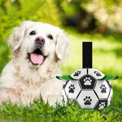 BALLON POUR CHIEN | Champion Dog™