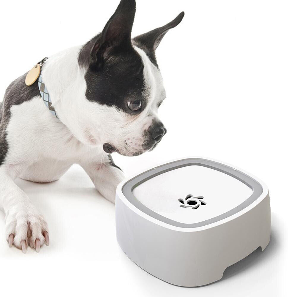 distributeur eau chien