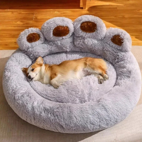 COUSSIN POUR CHIEN | Comfy Paw™