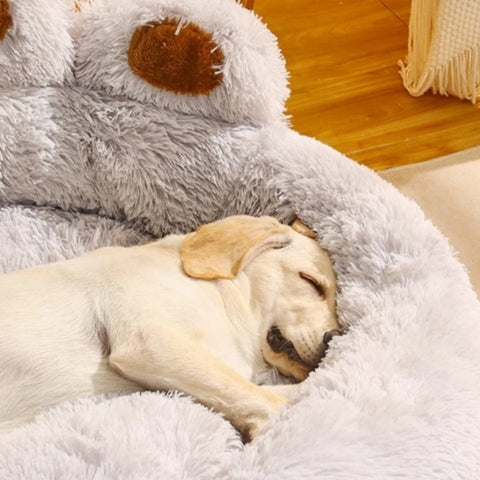 COUSSIN POUR CHIEN | Comfy Paw™