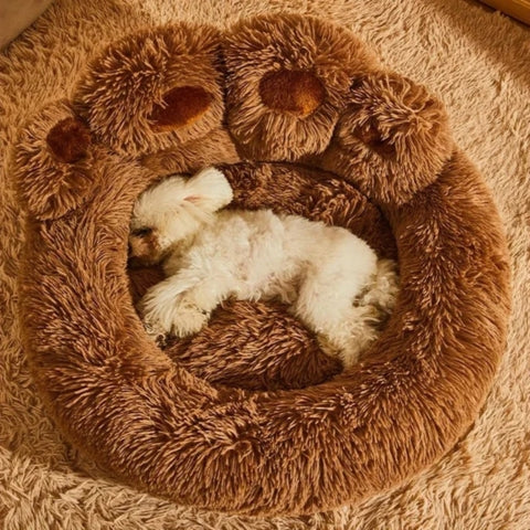 COUSSIN POUR CHIEN | Comfy Paw™