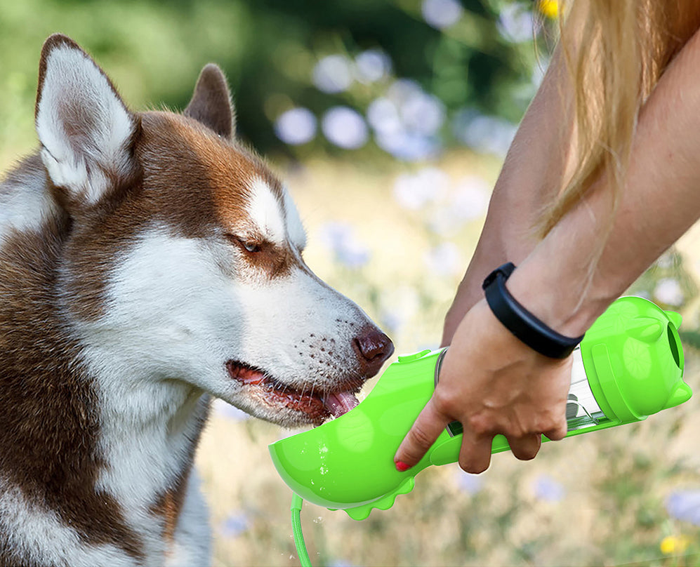 GOURDE POUR CHIEN | Perfect Bottle™