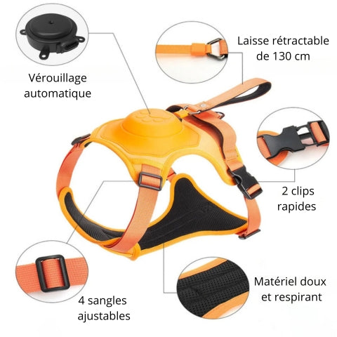 HARNAIS FUTÉ 2 EN 1™ | Harnais avec laisse rétractable intégrée