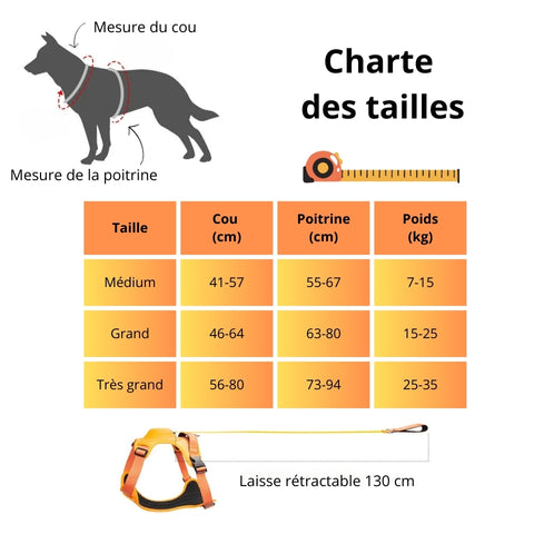 HARNAIS FUTÉ 2 EN 1™ | Harnais avec laisse rétractable intégrée