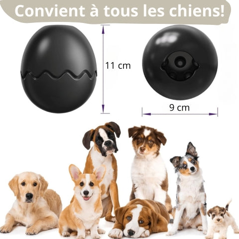 MAGIC EGG™ | Jouet hyper solide pour chien