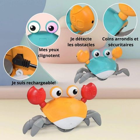 jouet-interactif-pour-chien-description