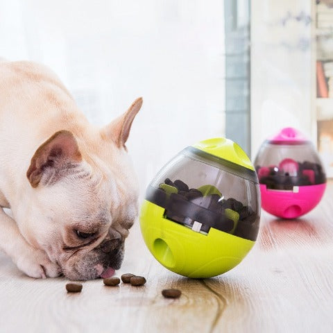 jouet-pour-chien-frenchie-repas