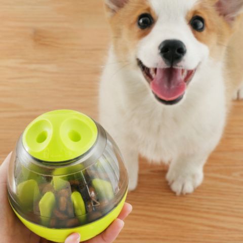 jouet-pour-chien-jaune-chiot