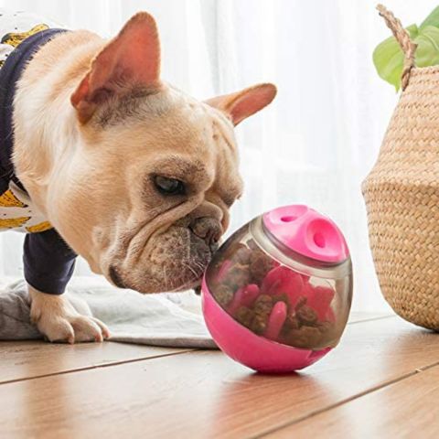 Analyzing image jouet-pour-chien-rose-bouledogue