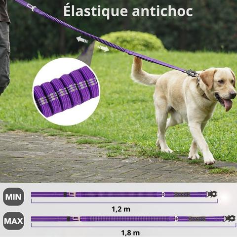 LAISSE POUR CHIEN | Smart Leash™