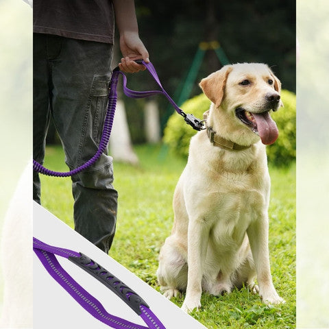 LAISSE POUR CHIEN | Smart Leash™