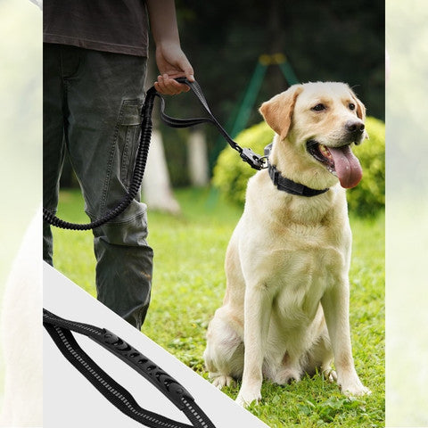 LAISSE POUR CHIEN | Smart Leash™