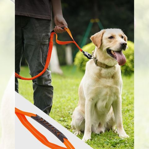 LAISSE POUR CHIEN | Smart Leash™
