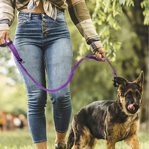 LAISSE POUR CHIEN | Smart Leash™