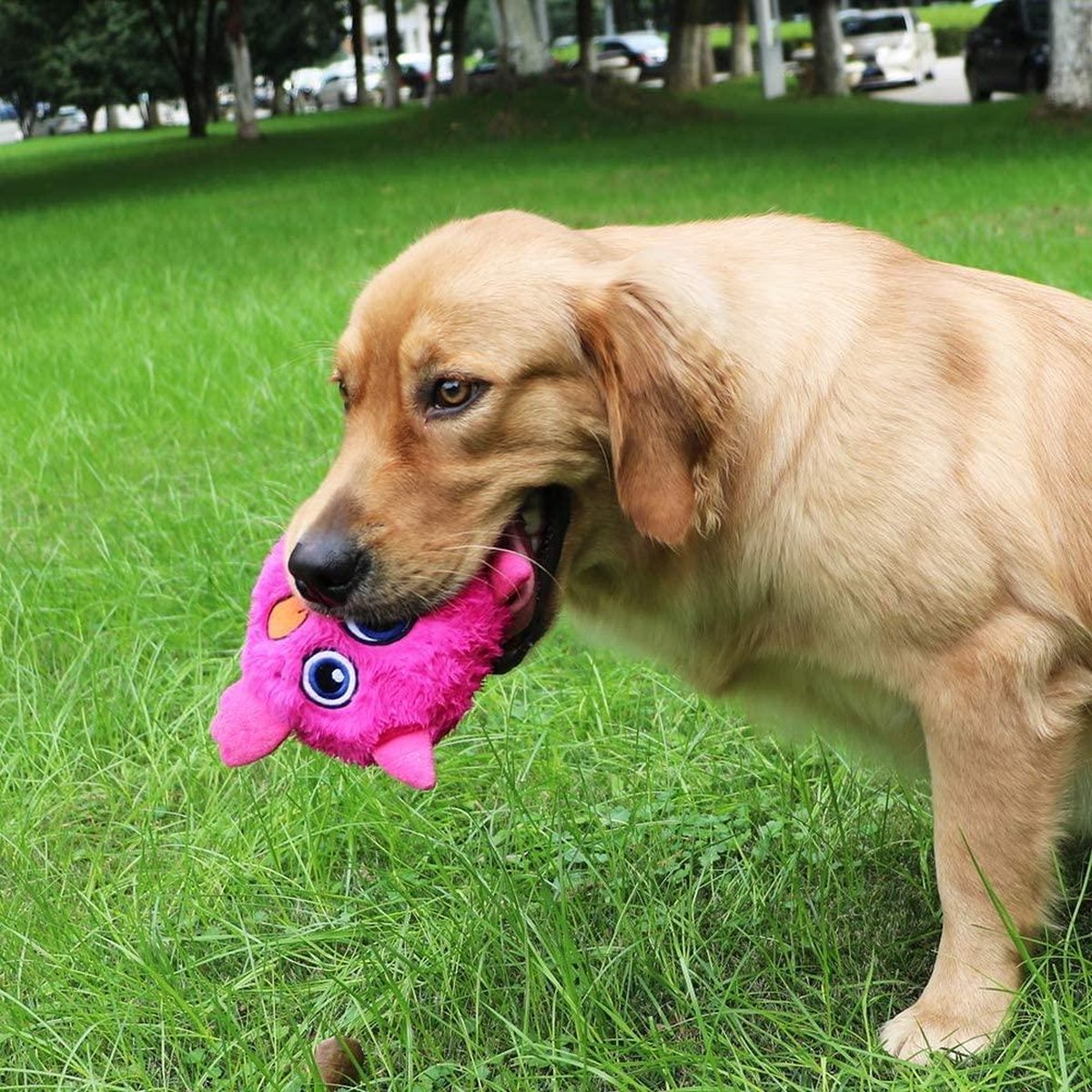 peluche chien