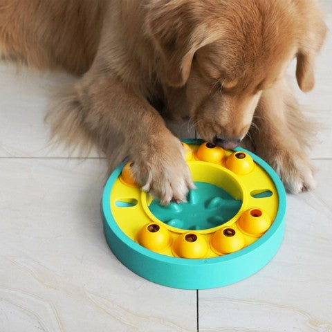 distributeur croquette chien