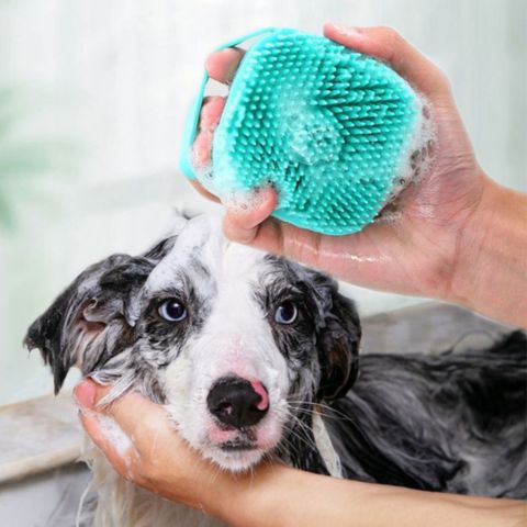 brosse de bain pour chien