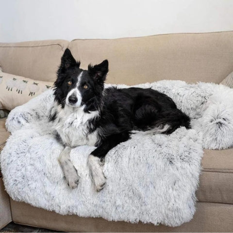 coussin-pour-chien-border