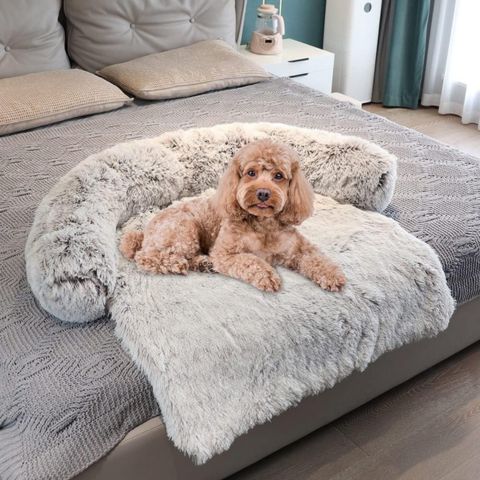 coussin-pour-chien-caniche