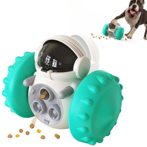 distributeur-de-croquettes-pour-chien-turquoise-exemple