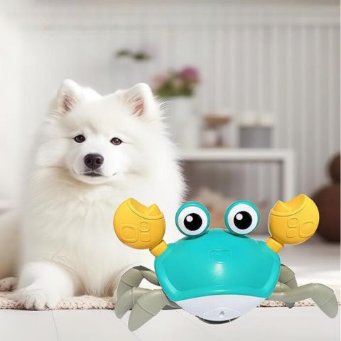 jouet-interactif-pour-chien-blanc