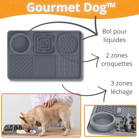 tapis-de-léchage-chien-zones